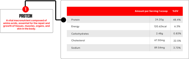 Enhanced Premium Whey + Free Shaker